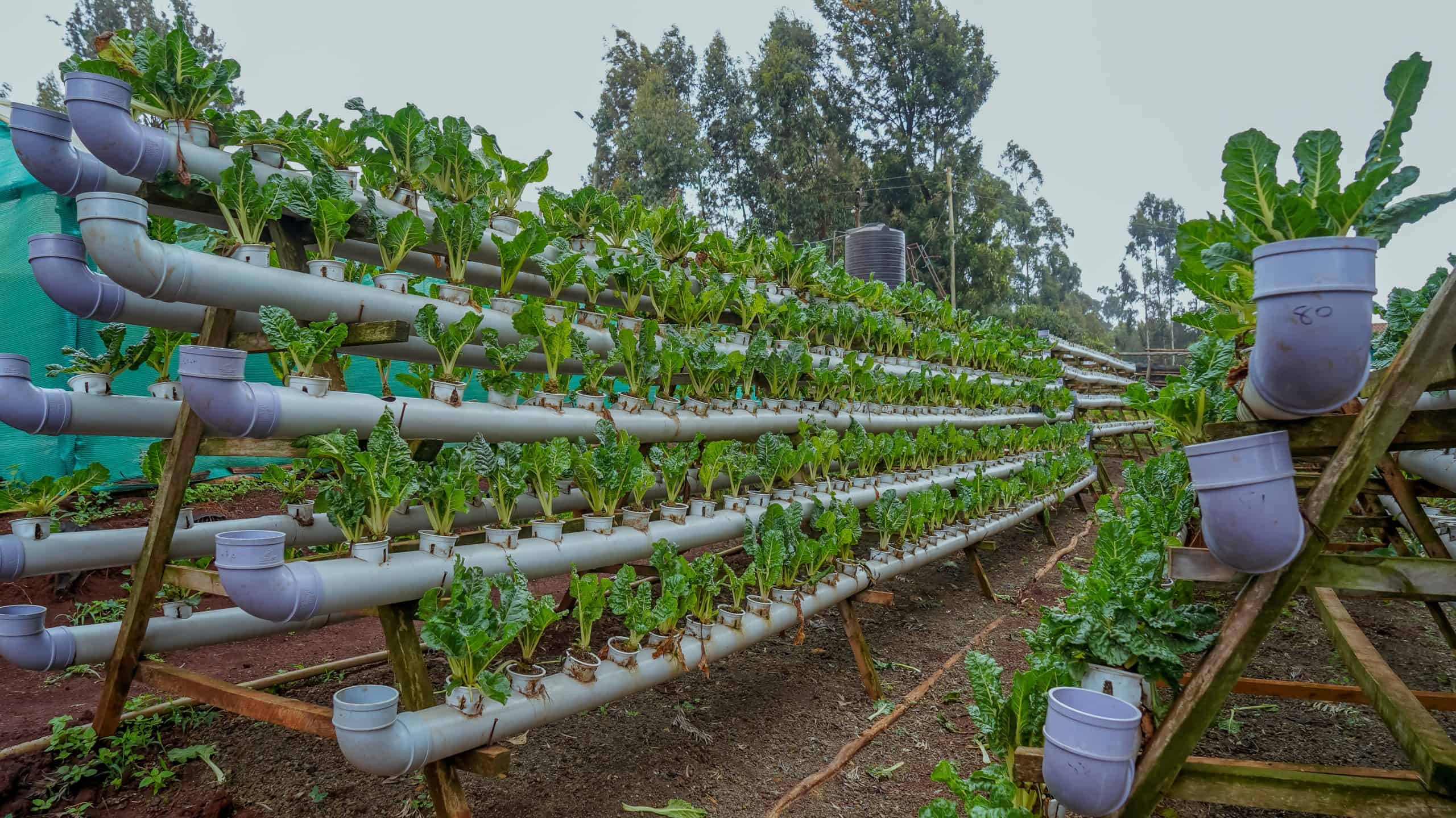 Garissa, Aga Khan University Partner to Build Climate-Resilient Communities